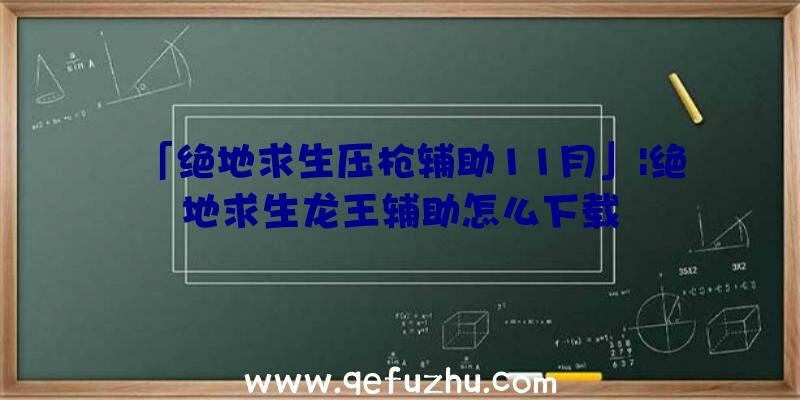 「绝地求生压枪辅助11月」|绝地求生龙王辅助怎么下载